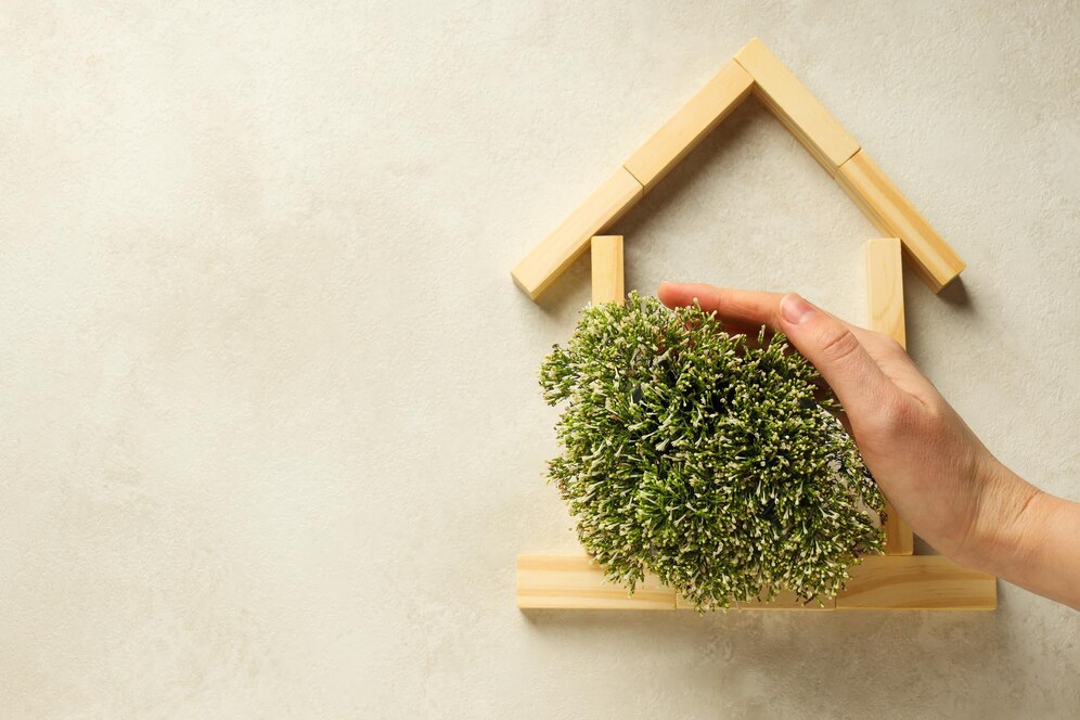 LES MAISONS ECOLOGIQUES : CONCEPTION, MATERIAUX ET EQUIPEMENTS Main tenant une boule de plantes vertes près d'une maison en bois.